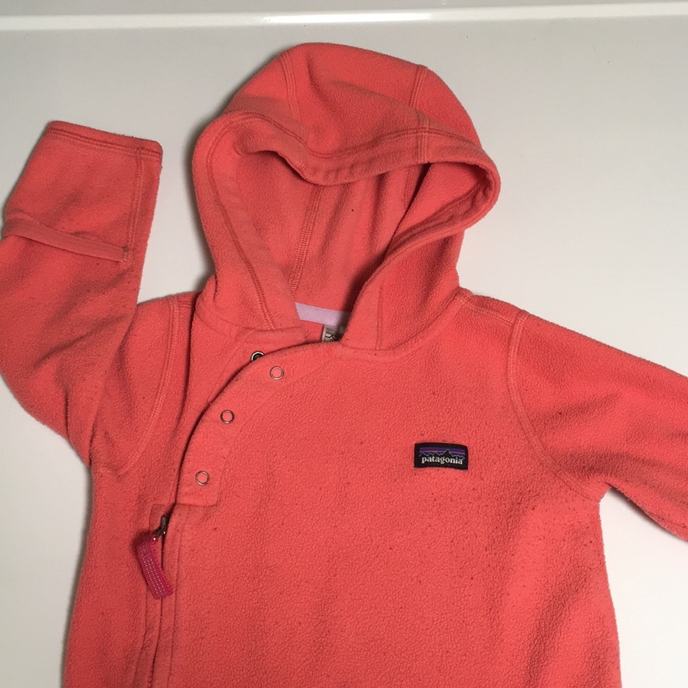 Patagonia fleece Micro D Bunting